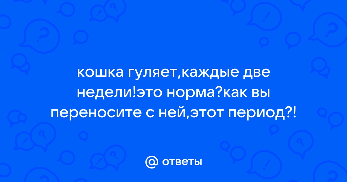 Гуляет кошка второй раз с промежутком в две недели.