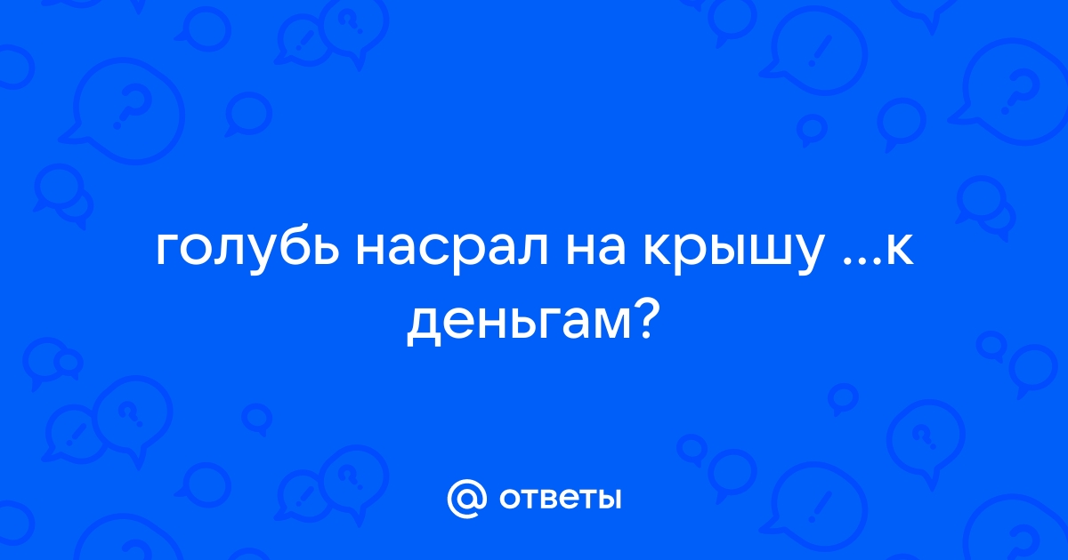 Как голуби вычисляют только что помытую машину (чт - интуиция)