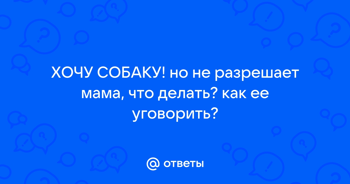 Как уговорить родителей завести собаку, если не разрешают