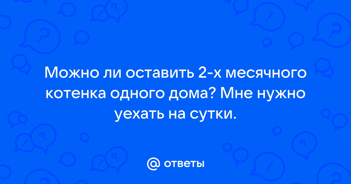 Можно ли оставлять котенка одного в комнате на ночь