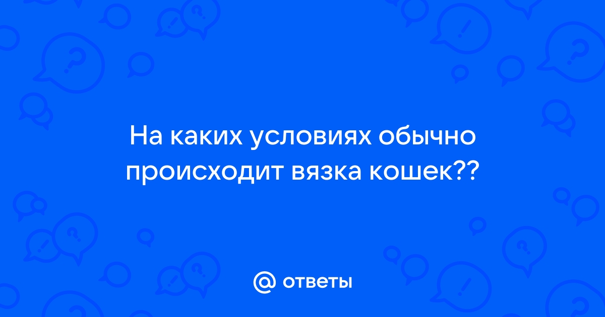 «Чёрный рынок» животных: чем опасно бесконтрольное разведение собак и кошек