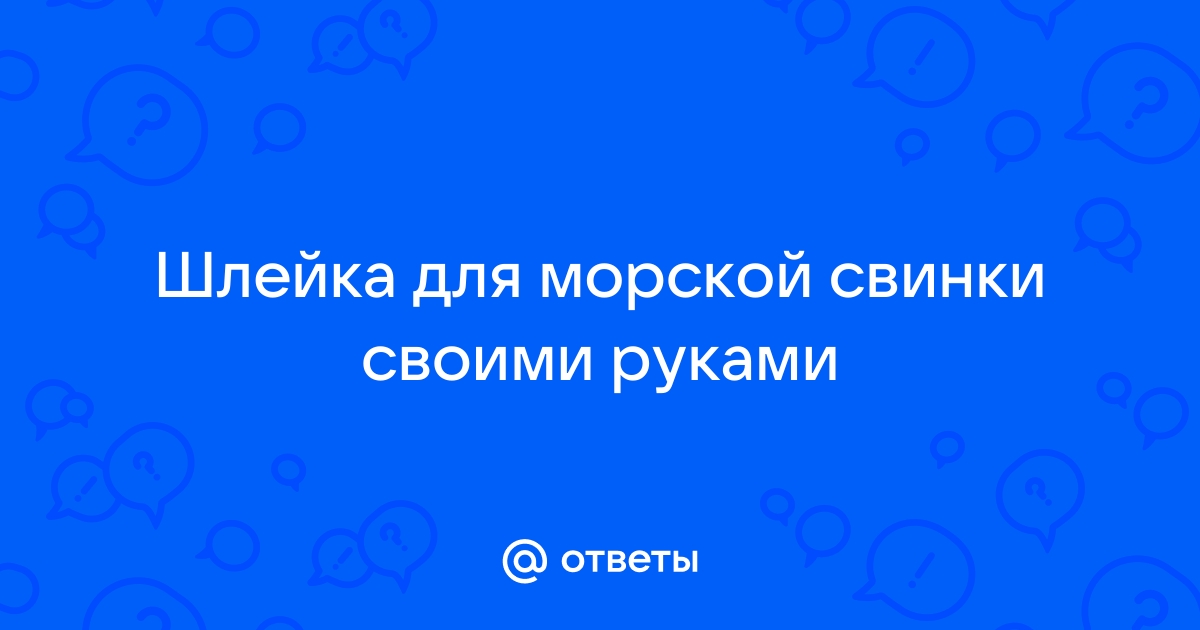 Игрушки для морской свинки