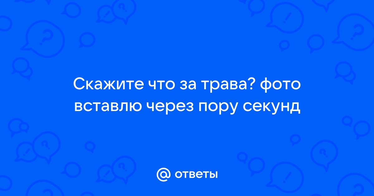 Узнать траву по фото онлайн бесплатно без регистрации