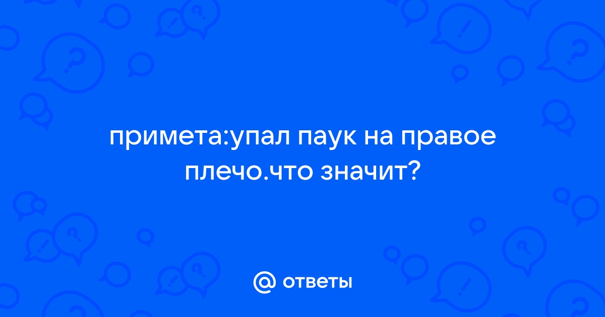 Примета паук упал на стол к чему