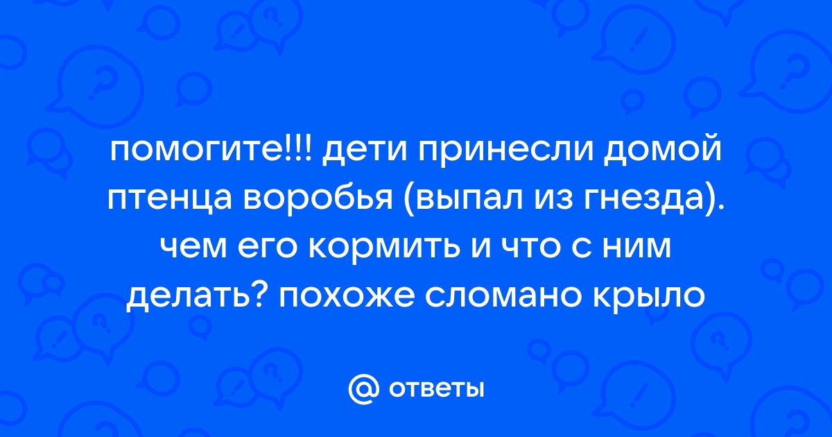 Воробей в домашних условиях