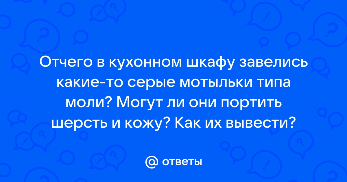 В кухонном шкафу завелись