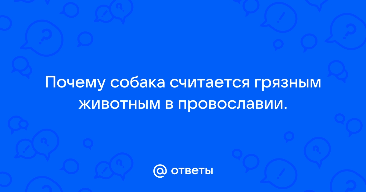 Почему во многих культурах собаки считались нечистыми животными » вечерние-огни.рф