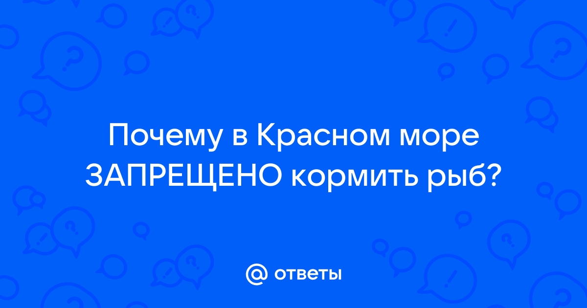 обитатели красного моря