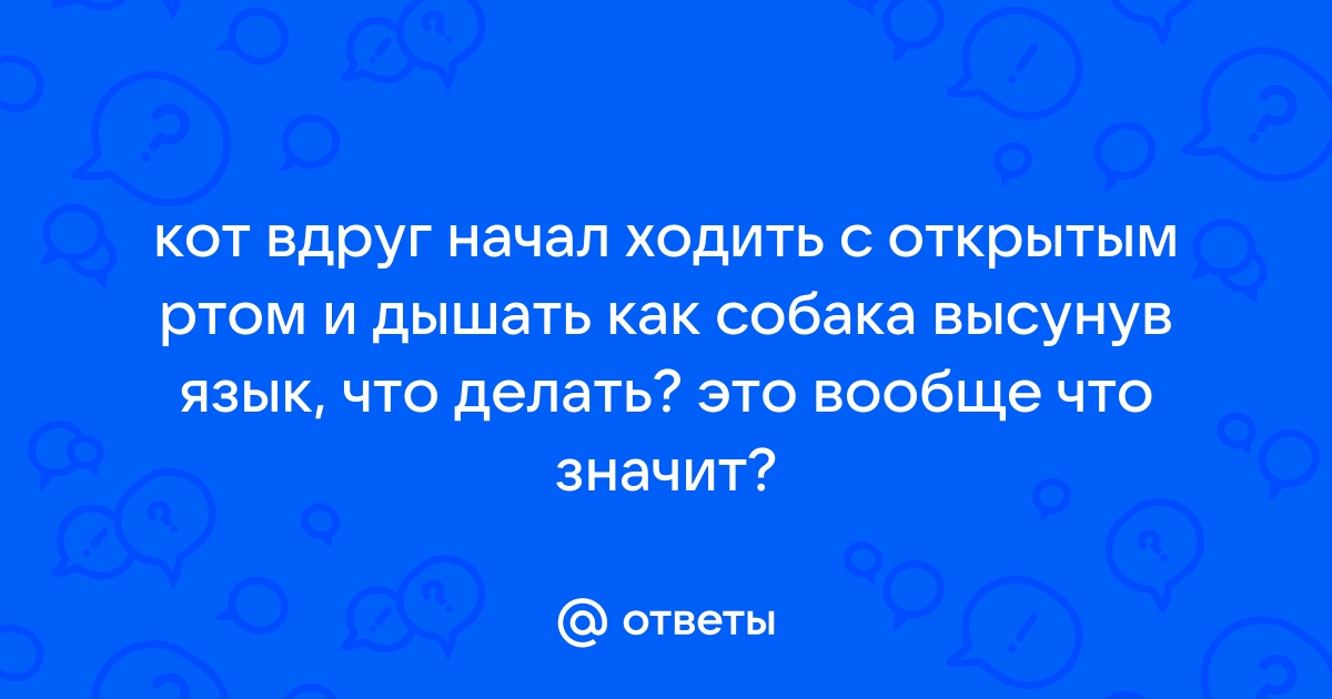 Одышка, дыхание с открытым ртом или с хрипами — Центр ветеринарної допомоги «Елітвет»