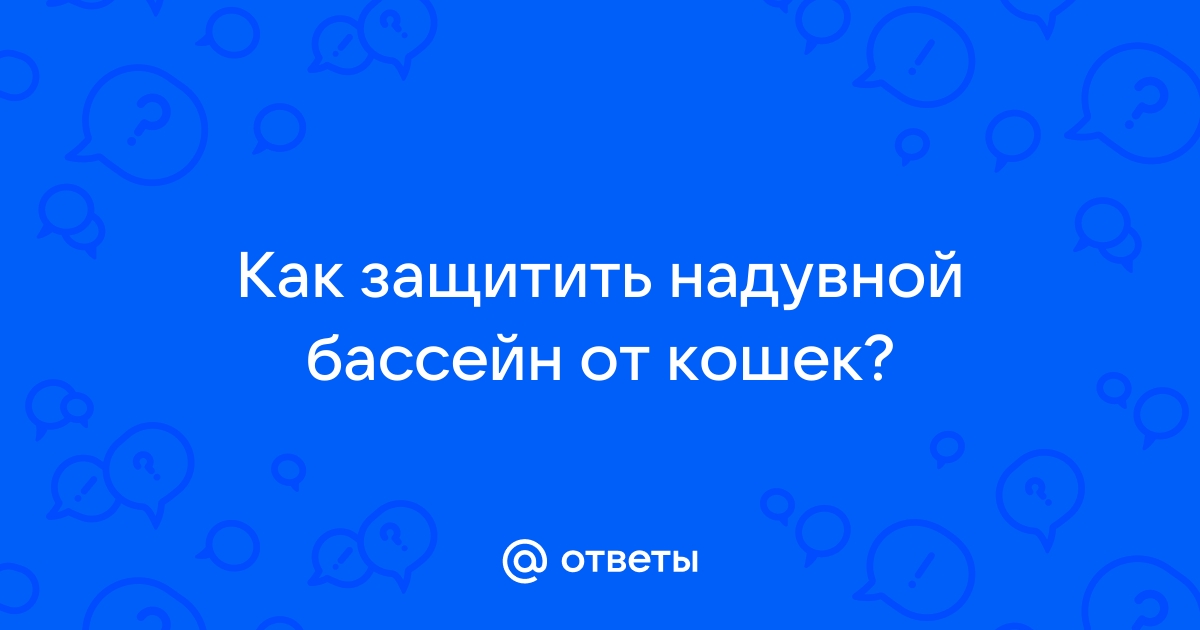 Как защитить бассейн от кошек