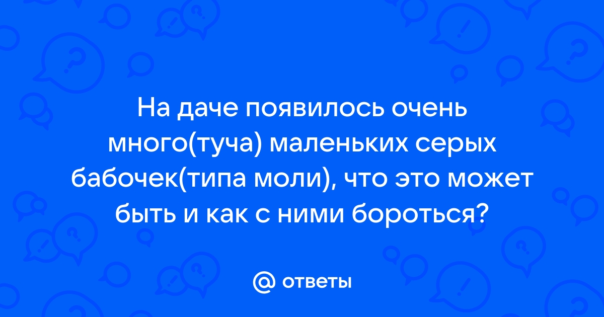 Как бороться с белой бабочкой на дачном участке, советует специалист