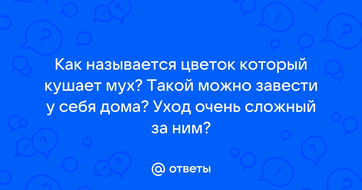 Как называется телеграм канал мухи 8