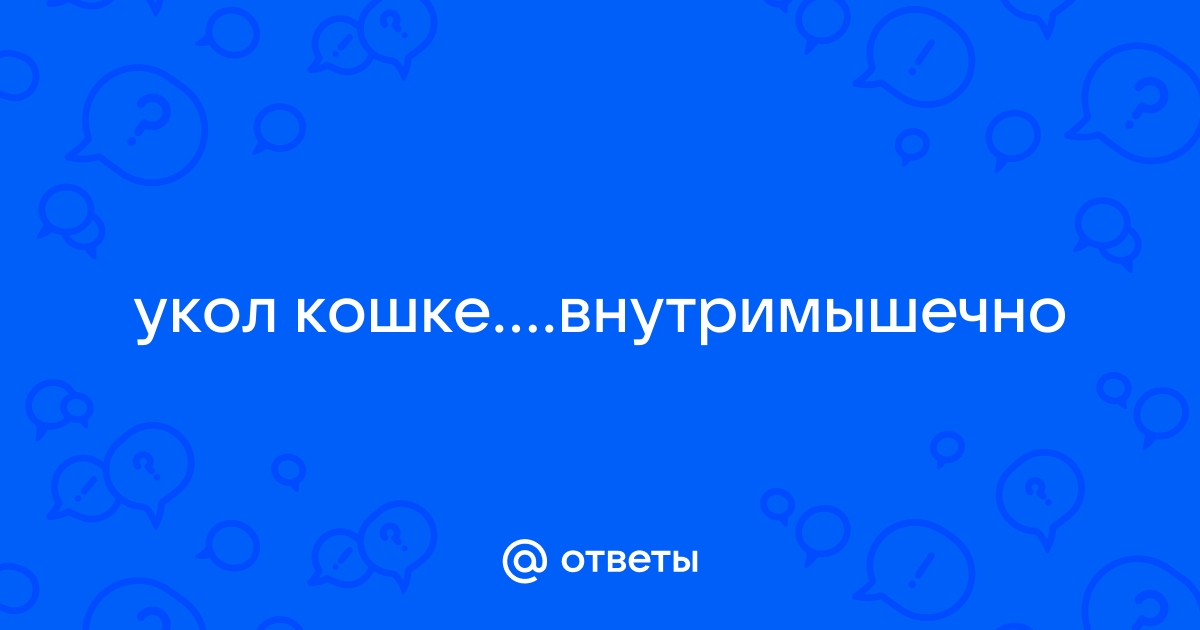 Как правильно сделать подкожную инъекцию собаке или кошке