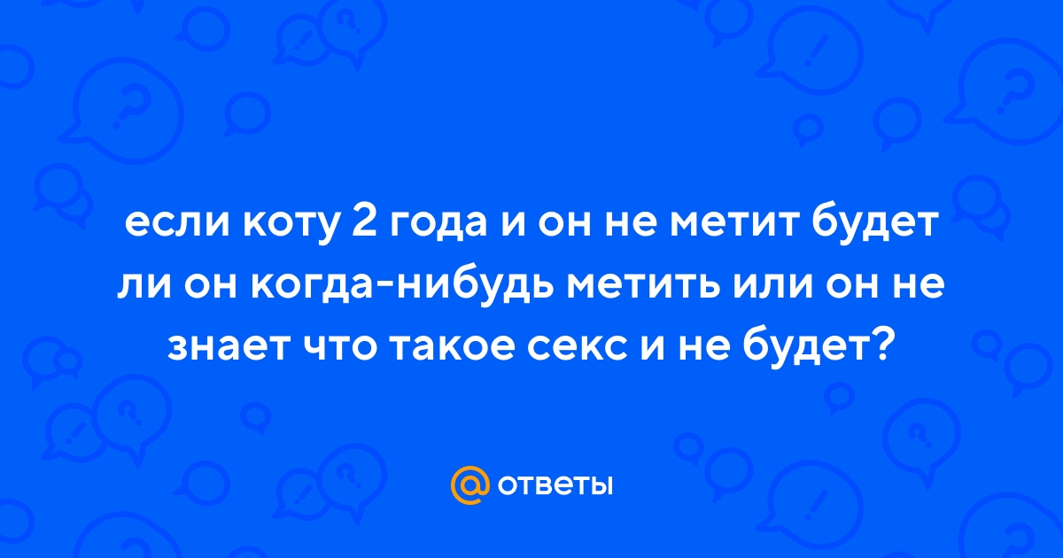 Ответы balagan-kzn.ru: Если кот не метит, созрел ли он для потомства?