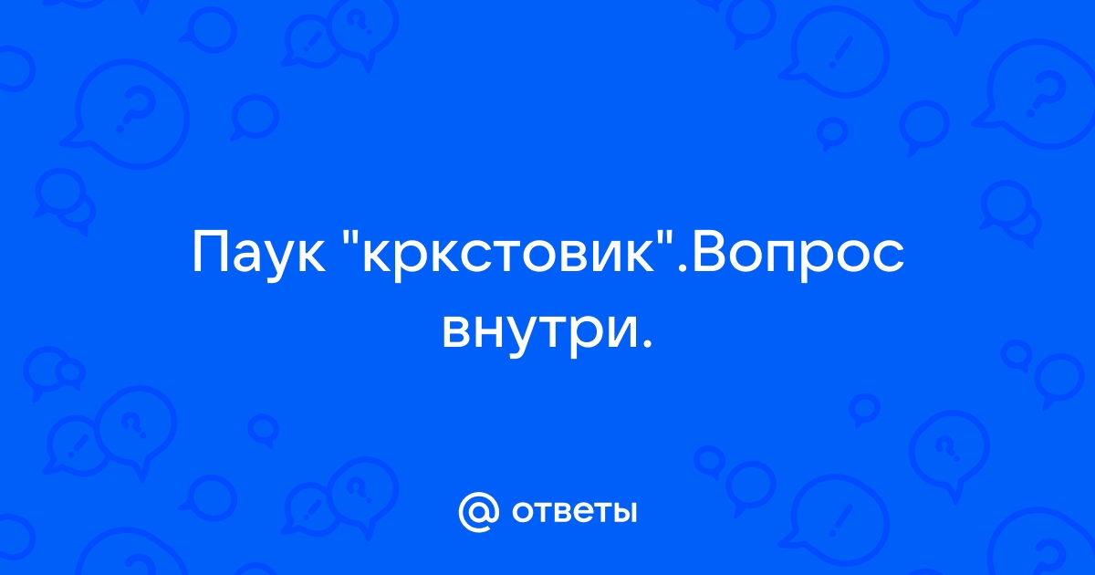 Паук крестовик - строение и особенности поведения