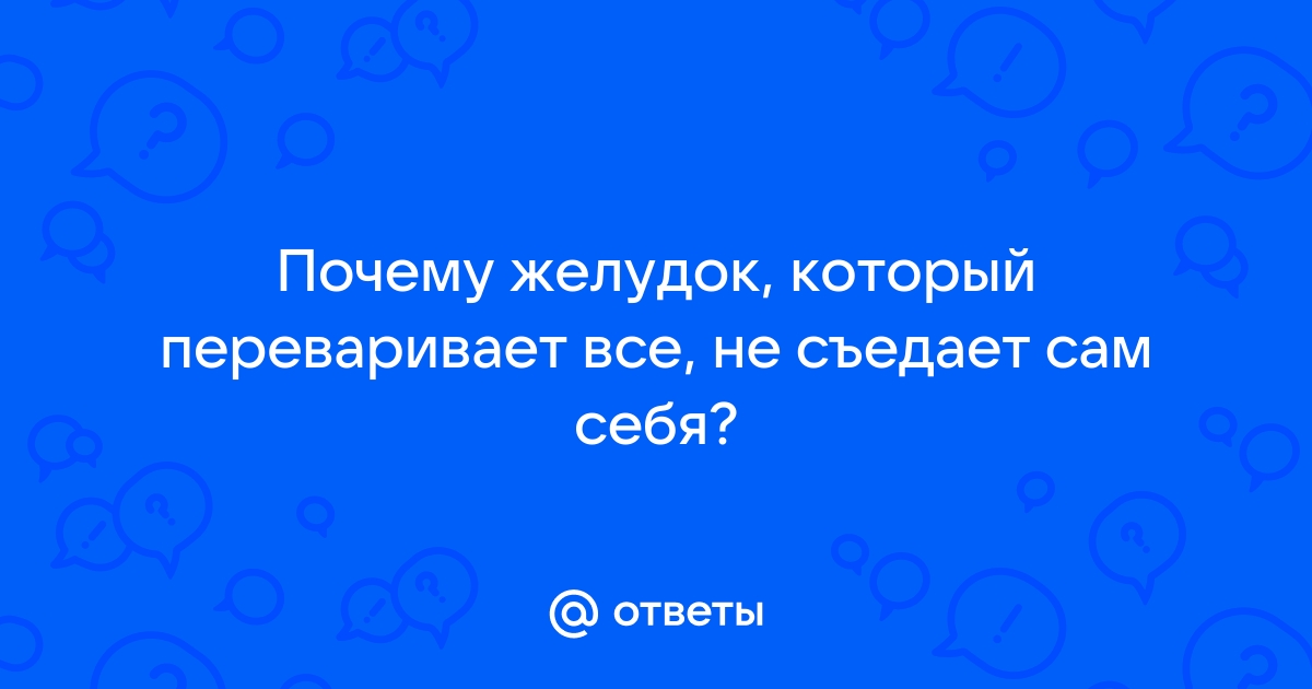 Почему желудок не переваривает сам себя | Интересные факты, Факты, Мобильное обучение