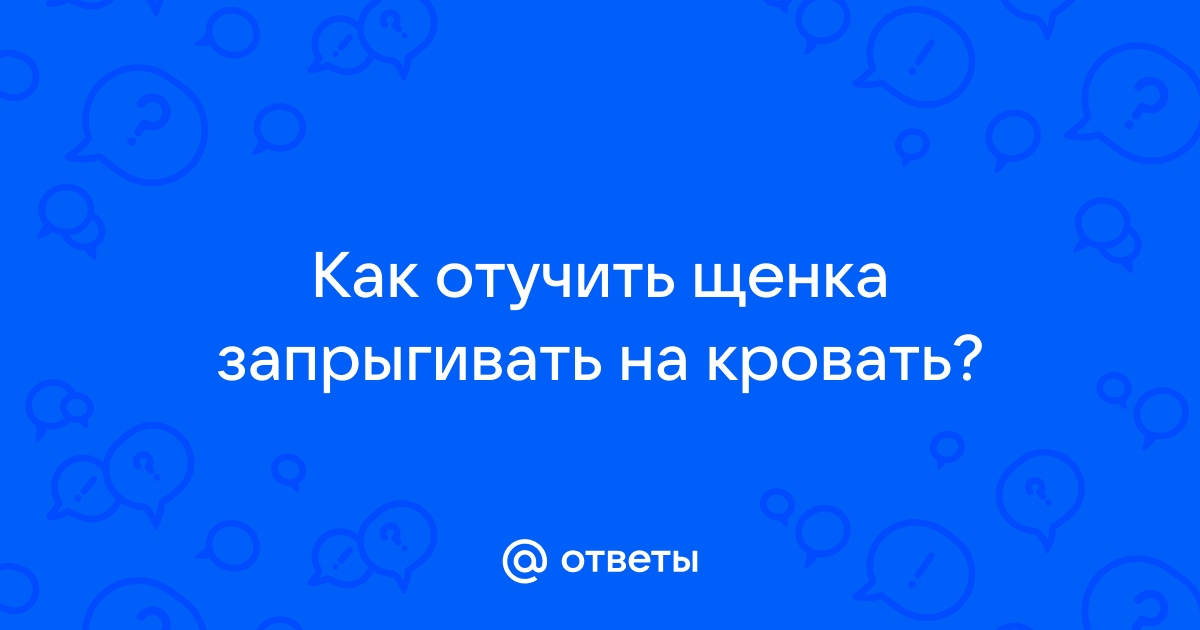 Как отучить собаку прыгать на кровать ночью