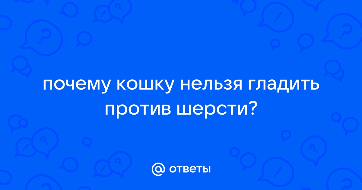 Почему нельзя гладить кошек против шерсти?