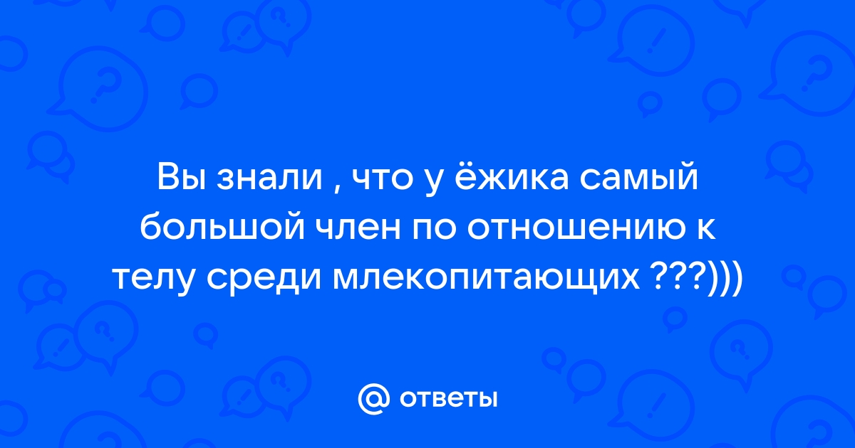 Смотрите, как выглядит животное с самым большим половым органом