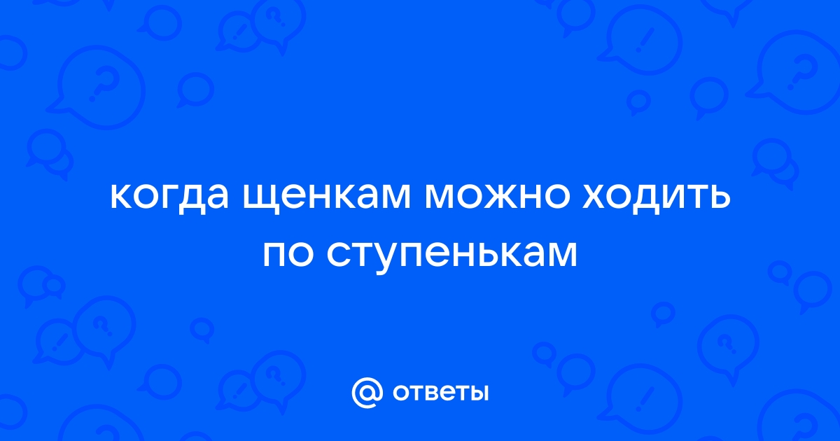 С какого возраста щенку можно ходить по лестнице