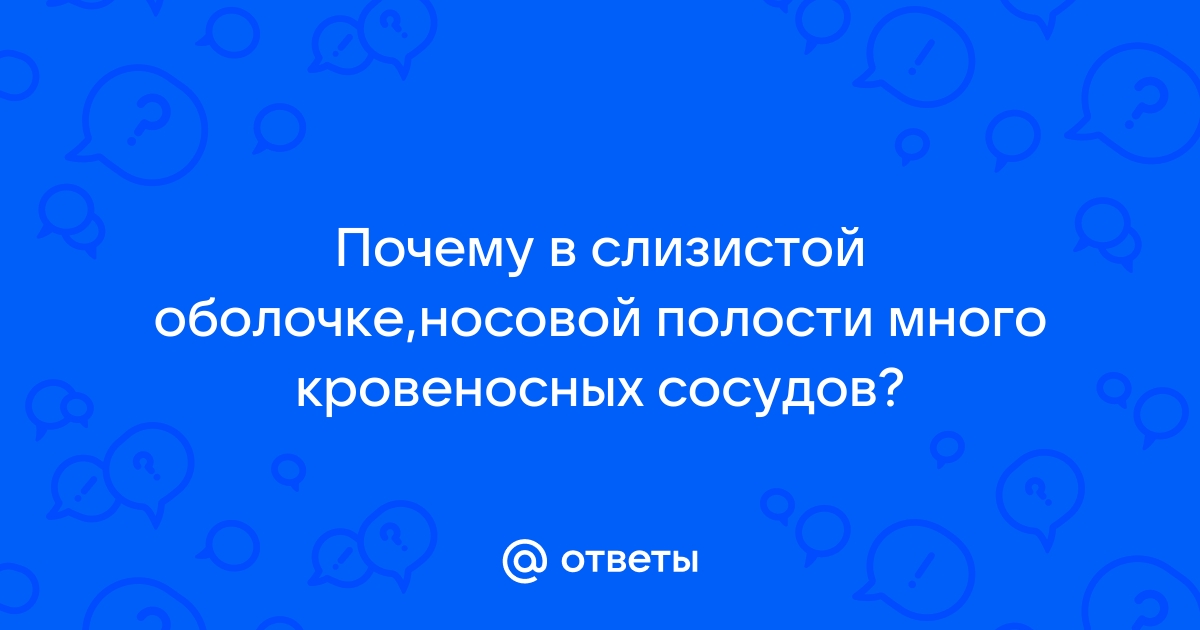 Носовые кровотечения - причины, симптомы, диагностика, лечение и профилактика