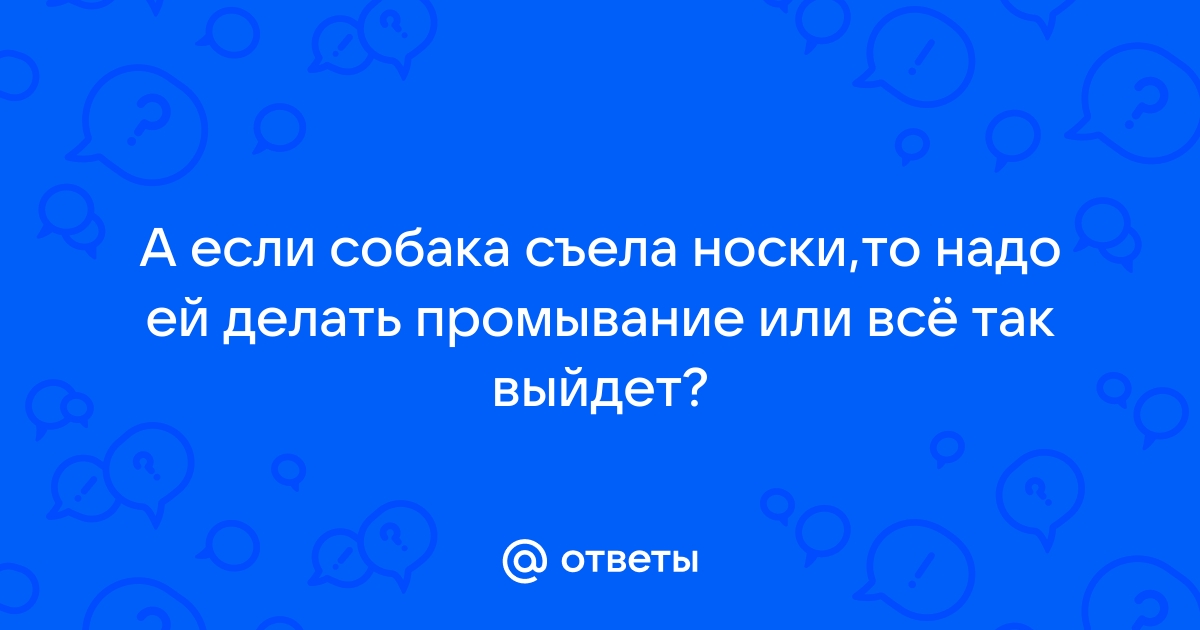 Следующая непредвиденная ситуация - Ларчи проглотил носок | My Dogs - I'm in Paradise | Дзен