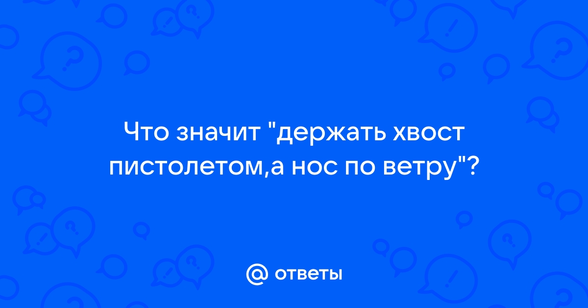 Держи нос по ветру а хвост пистолетом картинки