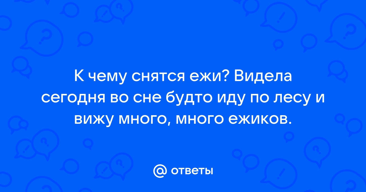 Ответы Mail.ru: К чему снятся ежи? Видела сегодня во сне будто иду по лесу  и вижу много, много ежиков.