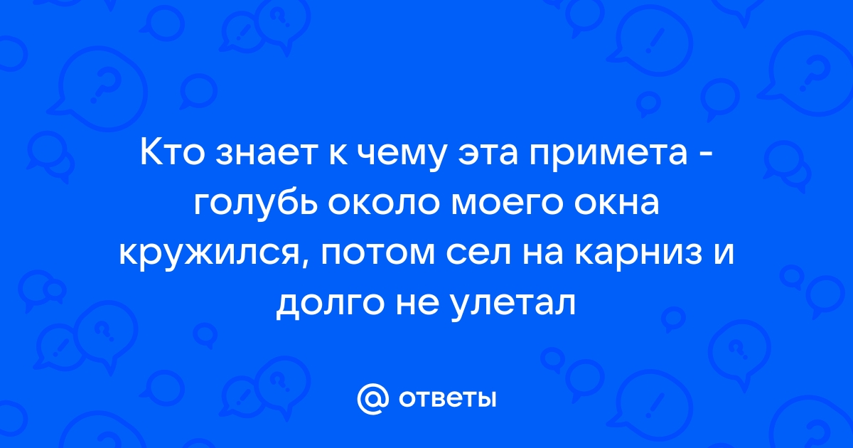 Голубь сел на карниз окна к чему это примета