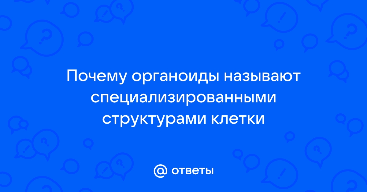 Значение органоидов в изучении болезней