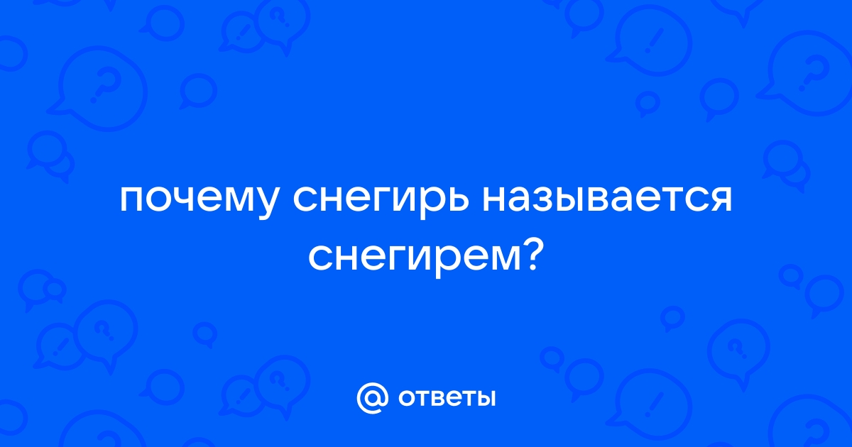 Почему снегиря так назвали? Красная птица с черными крыльями