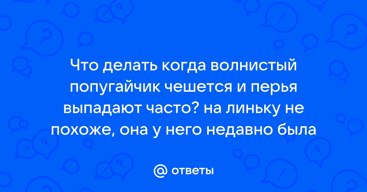 Покраснение на головке и крайней плоти. Что делать и как лечить?