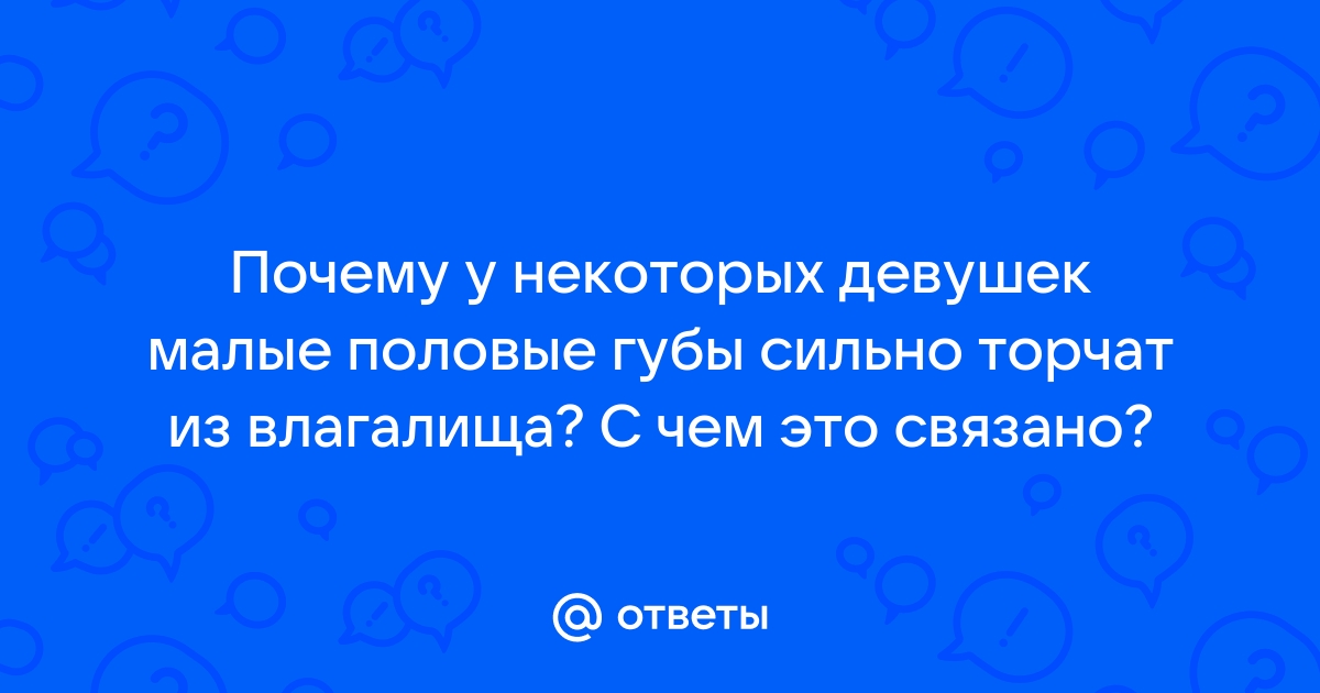 Анатомия женских половых органов - Медицинский центр в Томске «Мульти Клиник»