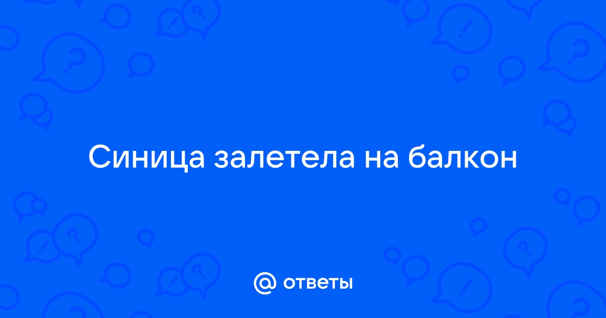 К чему залетает синица в дом через балкон