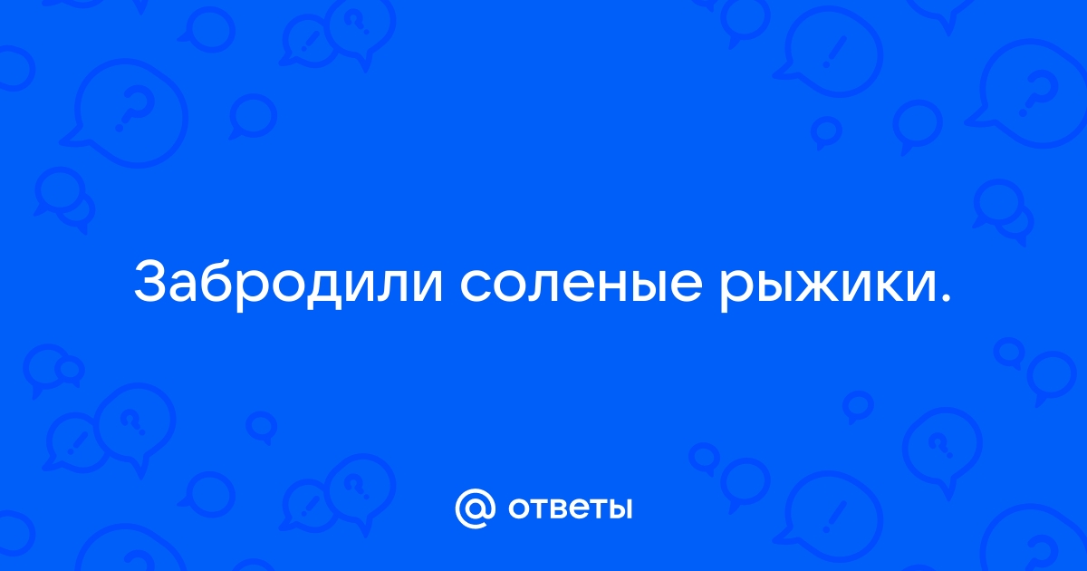 Что делать, если рыжики начали закисать и бродить?