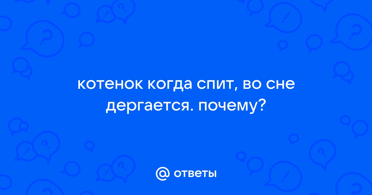 Кошка дергается во сне, есть ли причины для волнений?