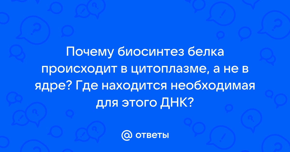 Биосинтез белка [ Ермолаев М.В. - Биологическая химия]