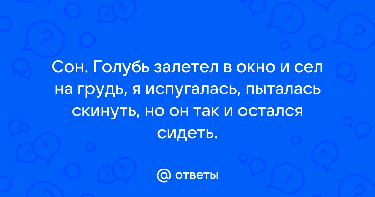 Приснилось что голубь залетел в комнату