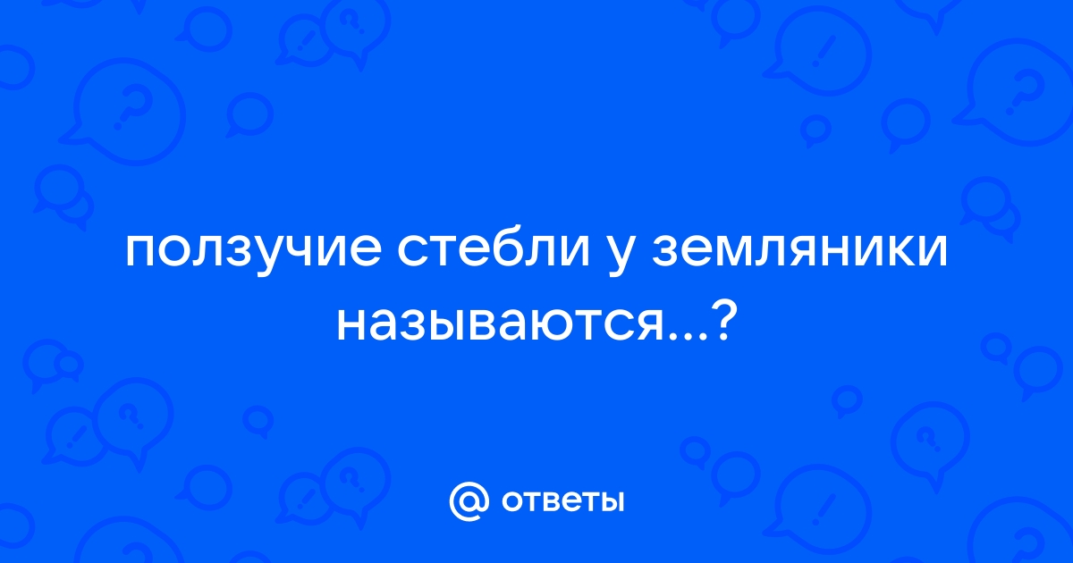 Антиоксидантные свойства