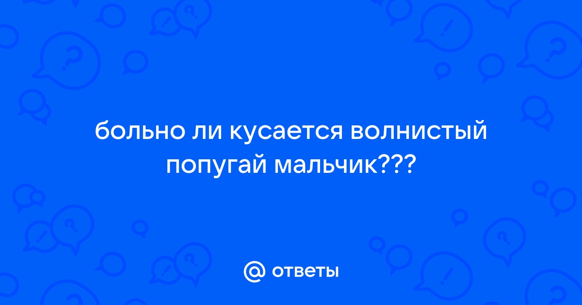 Почему попугай кусается и как его отучить