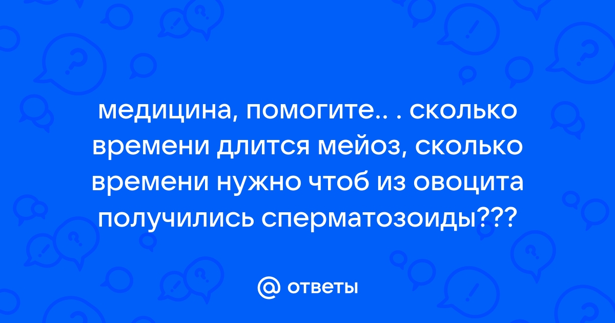 Сперматозоиды: что следует знать о них