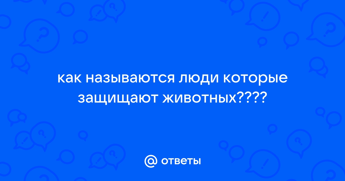 «В приютах крутятся большие деньги»: как устроен зоозащитный бизнес Красноярска