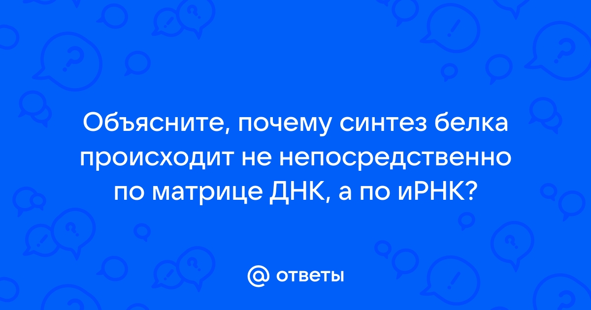 Биофил || Биосинтез белка