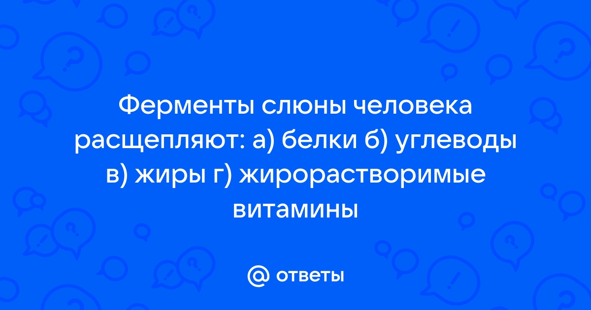 Ферменты слюны расщепляют белки