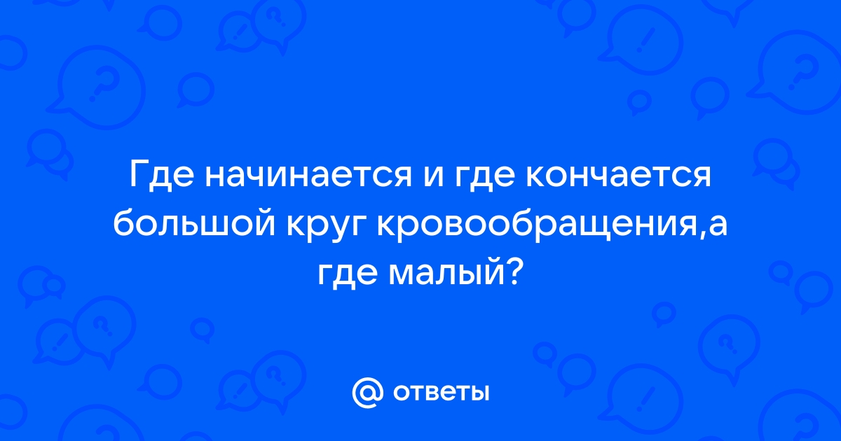 Большой и малый круги кровообращения. Скорость кровотока