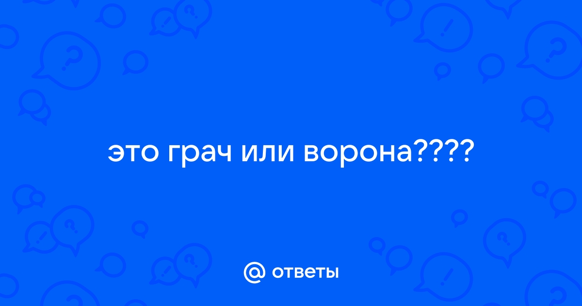 Картинка кто грабитель ответ