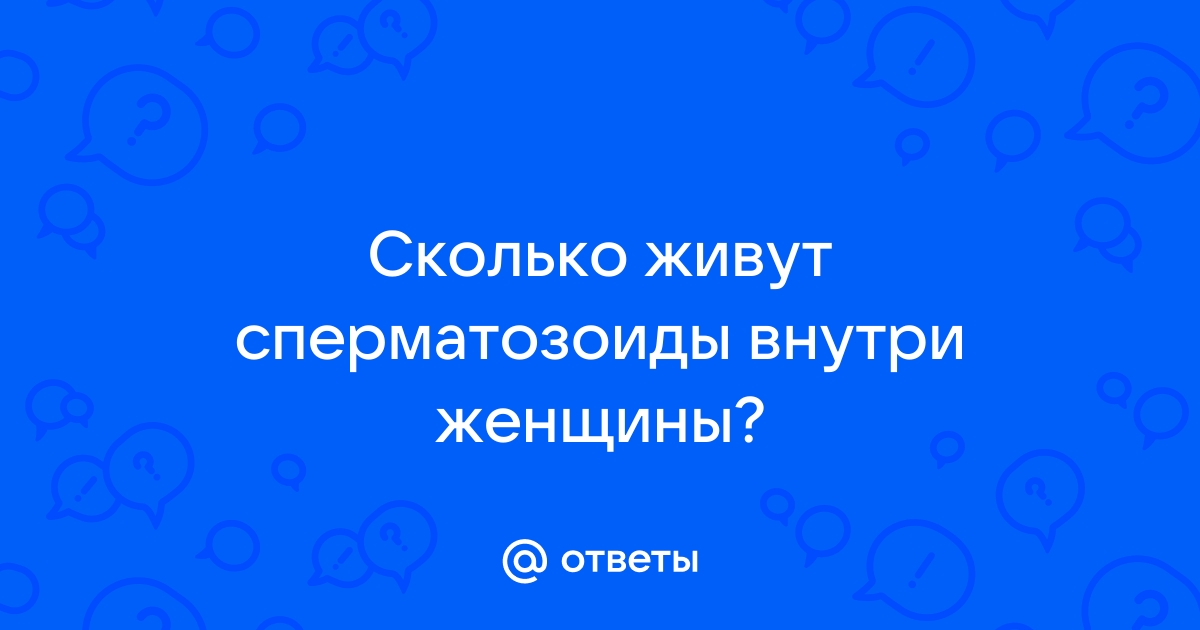 Время оплодотворения яйцеклетки