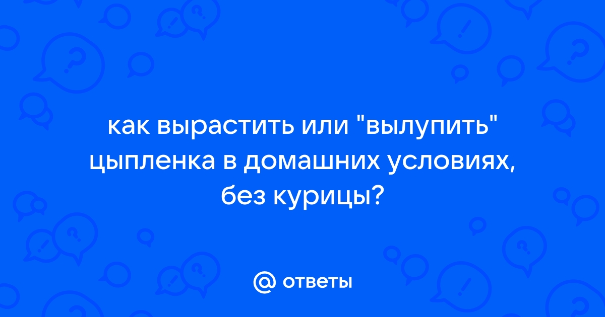 Схема пропойки гусят с первых дней жизни в домашних условиях