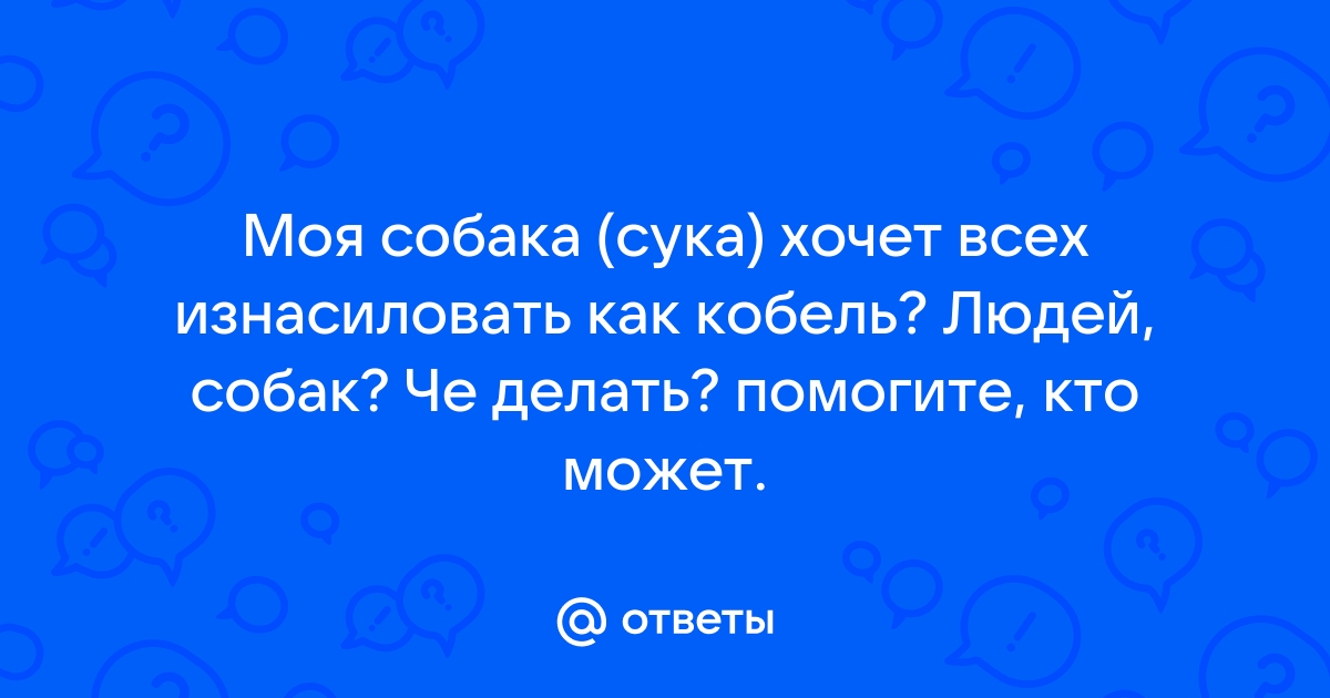 Садки собак, что это и нужно ли их боятся?