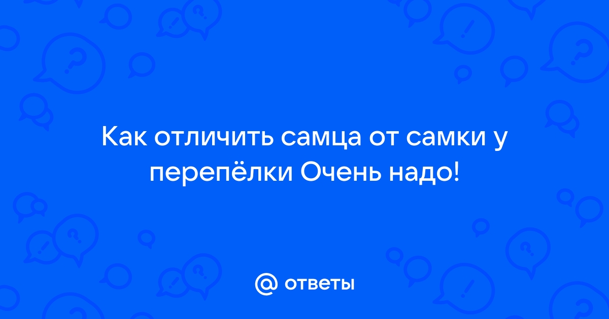 Как отличить самца от самки анциструса фото